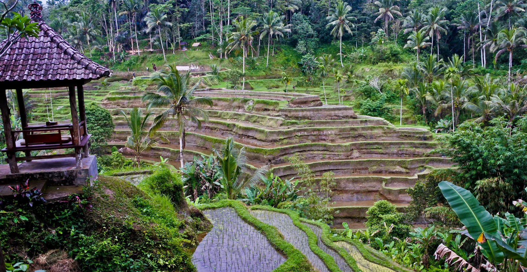 Bale di tepi persawahan terasering Ceking, Tegallalang, Kabupaten Gianyar